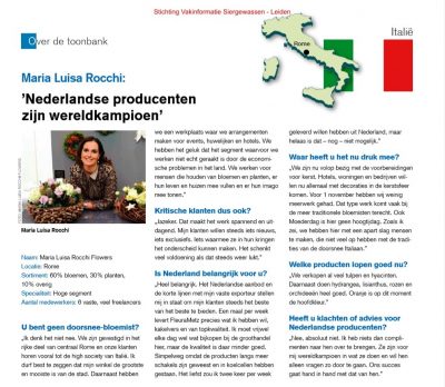 STAMPA-OLANDESE-2